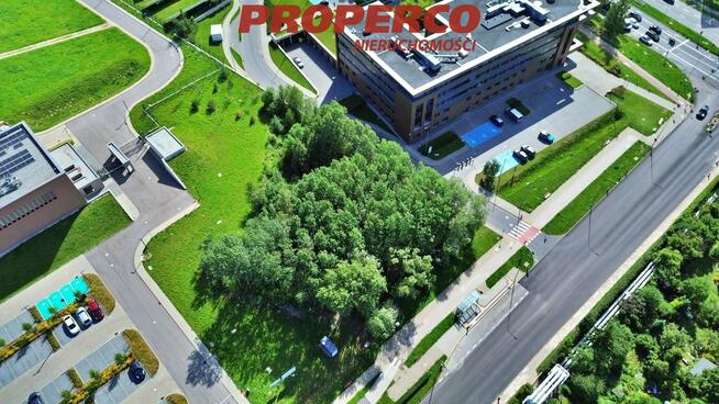 Działka Kielce Pod Telegrafem, Wrzosowa