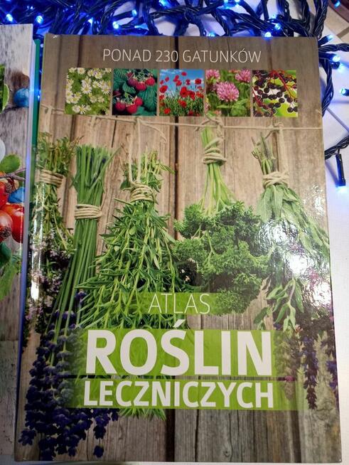 Książki stan dobry i bardzo dobry
