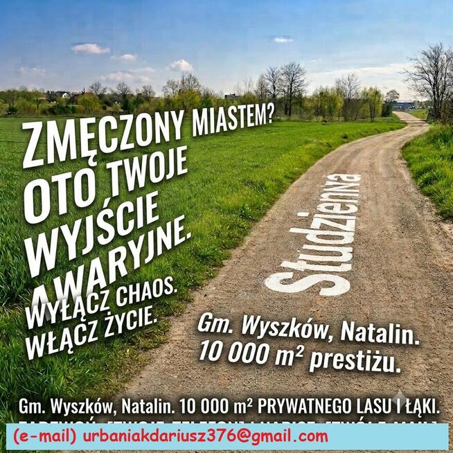 sprzedam dzialke