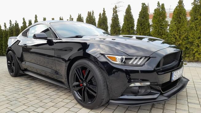 Mustang turbo, performance pack + premium pack + modyfikacje