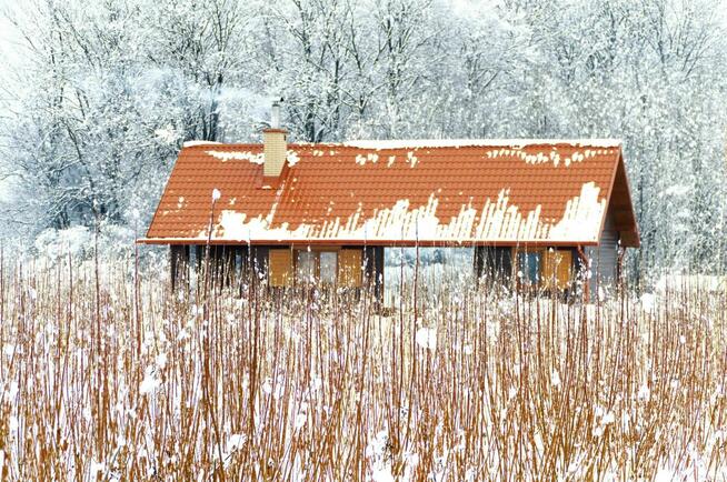 Dom całoroczny Haczów Plantacja Wierzby Agro - wynajmę