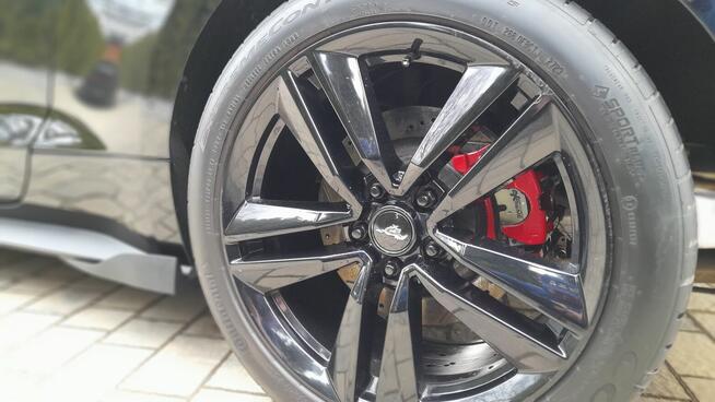 Mustang turbo, performance pack + premium pack + modyfikacje