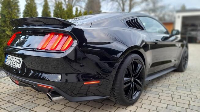 Mustang turbo, performance pack + premium pack + modyfikacje