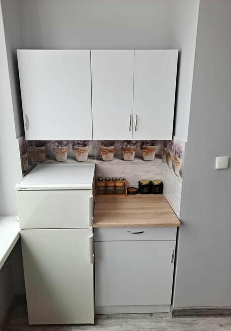 Apartament przy Parku Zdrojowym