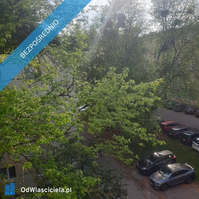 Wynajmę kawelerkę w bloku,w centrum obok parku staromiejskiego