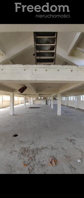 Duża hala 2500m2 wraz z gruntem, źródło wody