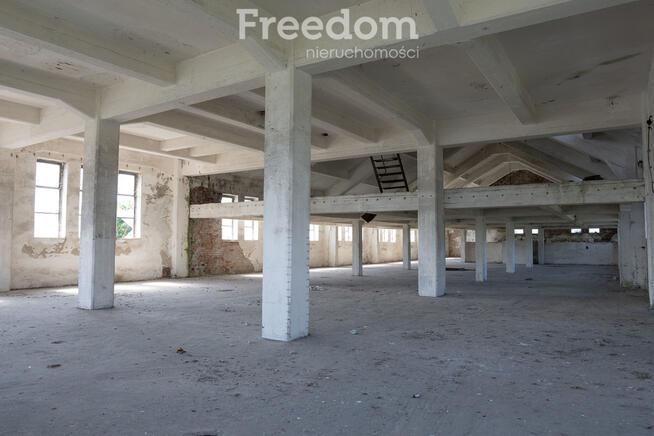 Duża hala 2500m2 wraz z gruntem, źródło wody