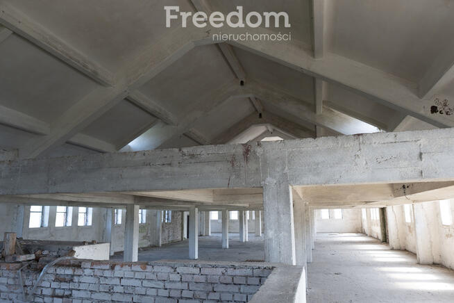 Duża hala 2500m2 wraz z gruntem, źródło wody