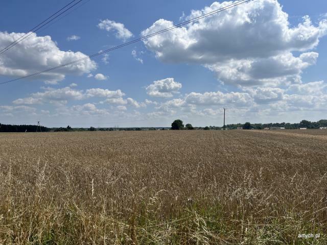 Działka rolno-budowlana Ceranów