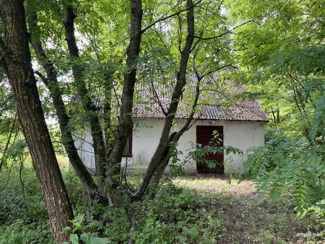 Działka rolno-budowlana Ceranów