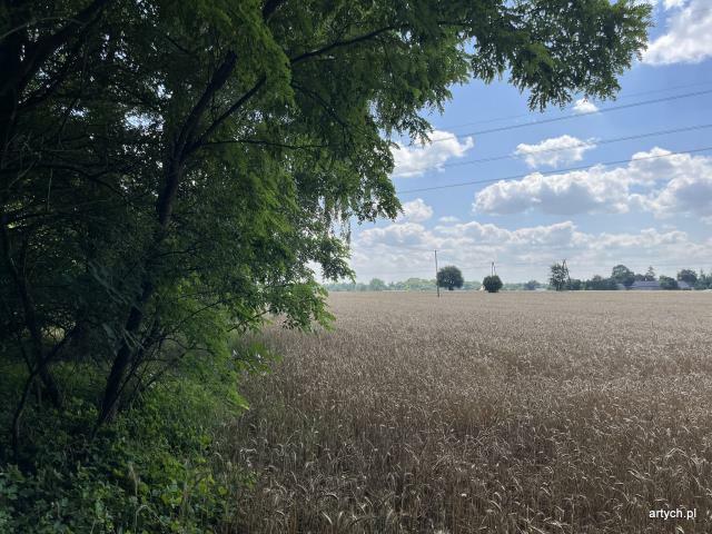 Działka rolno-budowlana Ceranów