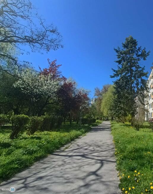 Mieszkanie Kielce KSM