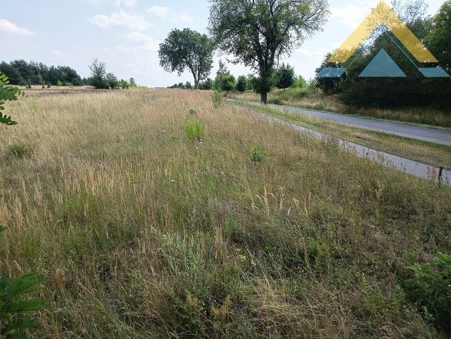 Działka z warunkami zabudowy Oraczewice, 128 tys.!