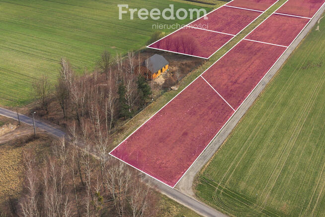 Działka 1136m² z Warunkami Zabudowy w Podkampinos