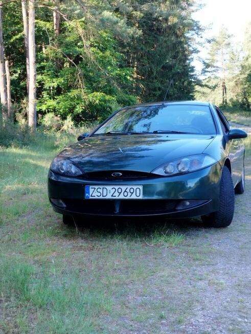 Ford Cougar na sprzedaż