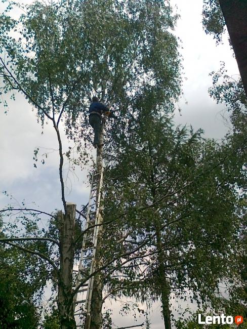 WYCINANIE I PRZYCINANIE DRZEW.