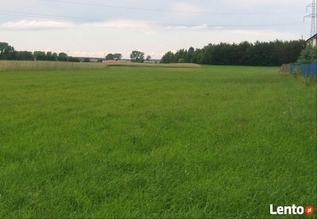 sprzedam działkę budowlano-przemysłową-usługi produkcyjne