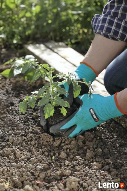 Usługi ogrodnicze Warszawa i okolice