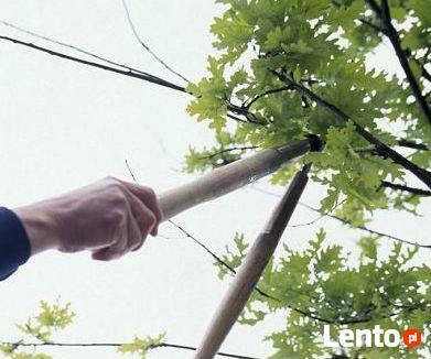 Usługi ogrodnicze Warszawa i okolice