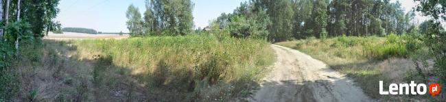 Działka leśna Nowe Skoszewy gm. Nowosolna