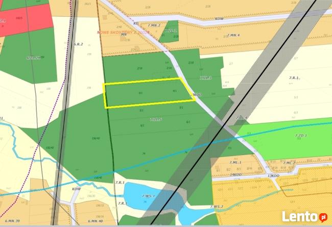 Działka leśna Nowe Skoszewy gm. Nowosolna