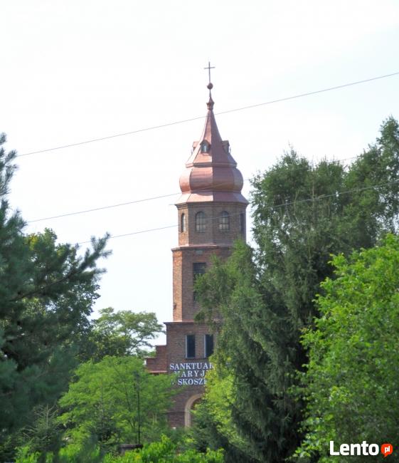 Działka leśna Nowe Skoszewy gm. Nowosolna