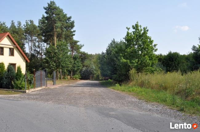 Działka leśna Nowe Skoszewy gm. Nowosolna