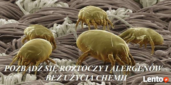 Studio Czystości ECO STEAM/pranie tapicerki dywanów