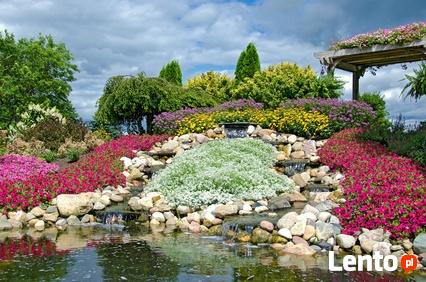 Wymarzony Ogród-firma projektująca ogrody, usługi ogrodnicze