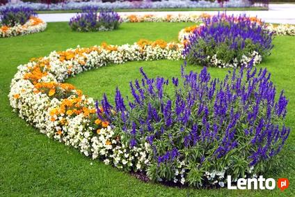 Wymarzony Ogród-firma projektująca ogrody, usługi ogrodnicze