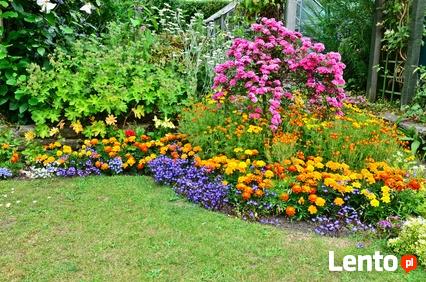 Wymarzony Ogród-firma projektująca ogrody, usługi ogrodnicze