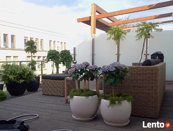 Rośliny doniczkowe - aranżacja i opieka