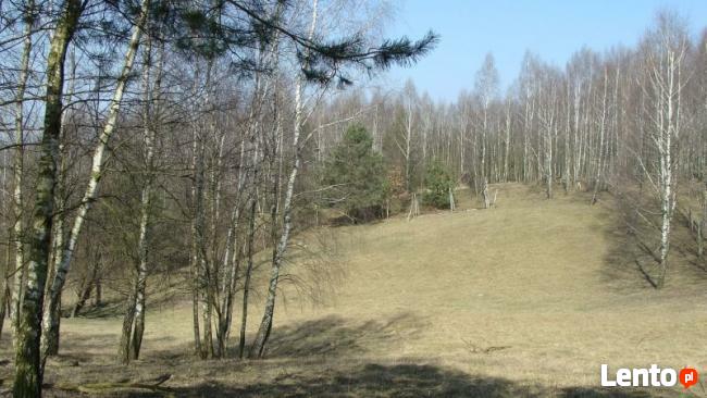 7 działek siedliskowo - inwestycyjnych o ogól. pow. 19,19 ha