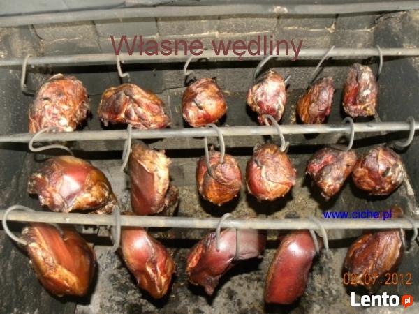 Pokoje Gościnne Zwierzęta miniZOO jeziora ośrodek narciarski