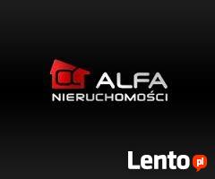 Alfa Nieruchomości
