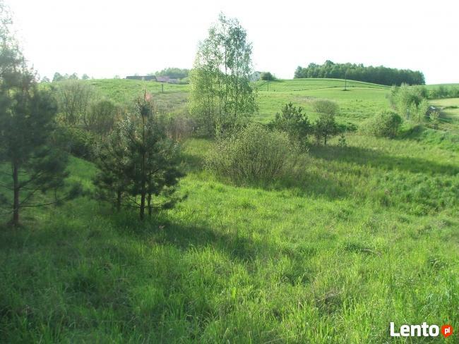 Działka rolna pod zabudowę jednorodzinną