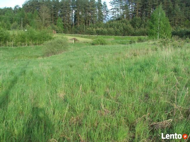 Działka rolna pod zabudowę jednorodzinną