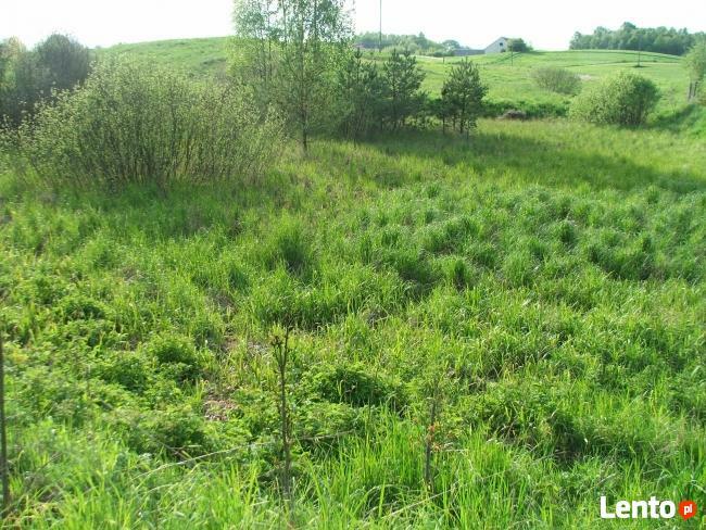 Działka rolna pod zabudowę jednorodzinną