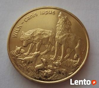 Monety 2 zł GN z lat 1995 - 2014