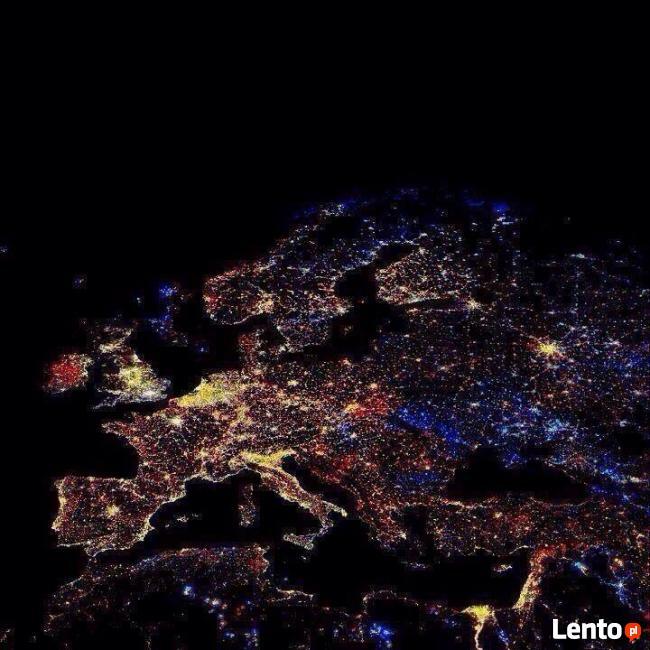 Wycinka drzew, porządkowanie ogrodów, koszenie trawników...