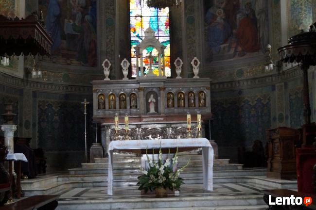 Przewodnik po Płocku i okolicach, pilot wycieczek.