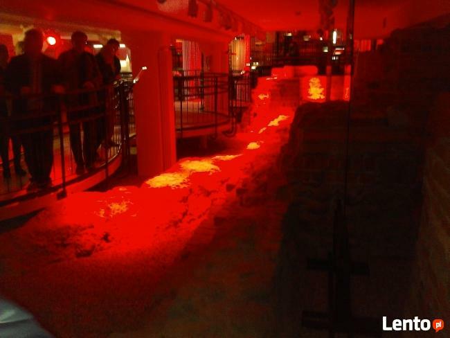 Przewodnik po Płocku i okolicach, pilot wycieczek.