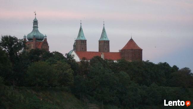 Przewodnik po Płocku i okolicach, pilot wycieczek.