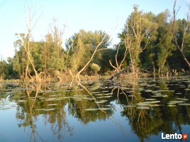 Przewodnik po Płocku i okolicach, pilot wycieczek.