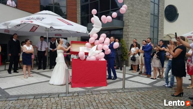 BALONY Z HELEM NA WESELE - NAJLEPIEJ NA ŚLĄSKU
