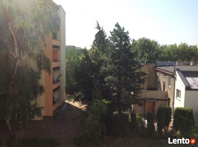 Mieszkanie do wynajęcia