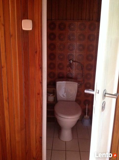 Mieszkanie do wynajęcia