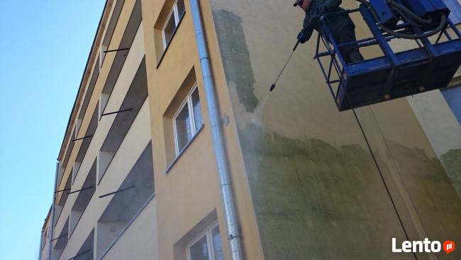 Wycinka drzew drzewa usuwanie konarów , wynajem podnośnik ko