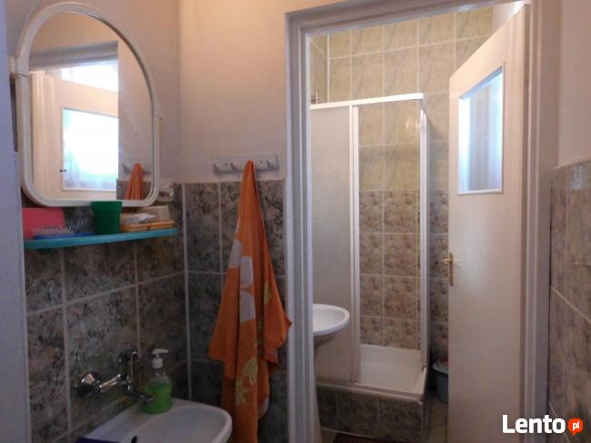 STANCJE POKOJE do wynajęcia