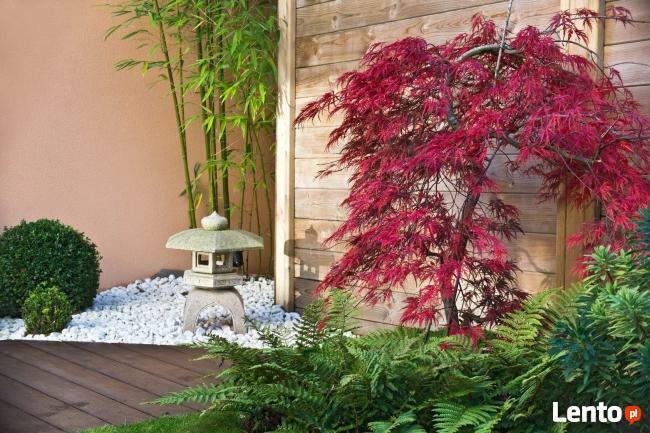 Projekty Wnętrz i Ogrodów